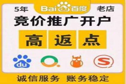SEM推广实战：成功案例解读与策略调整